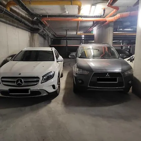 Vivasoara, Like At The * Temešvár